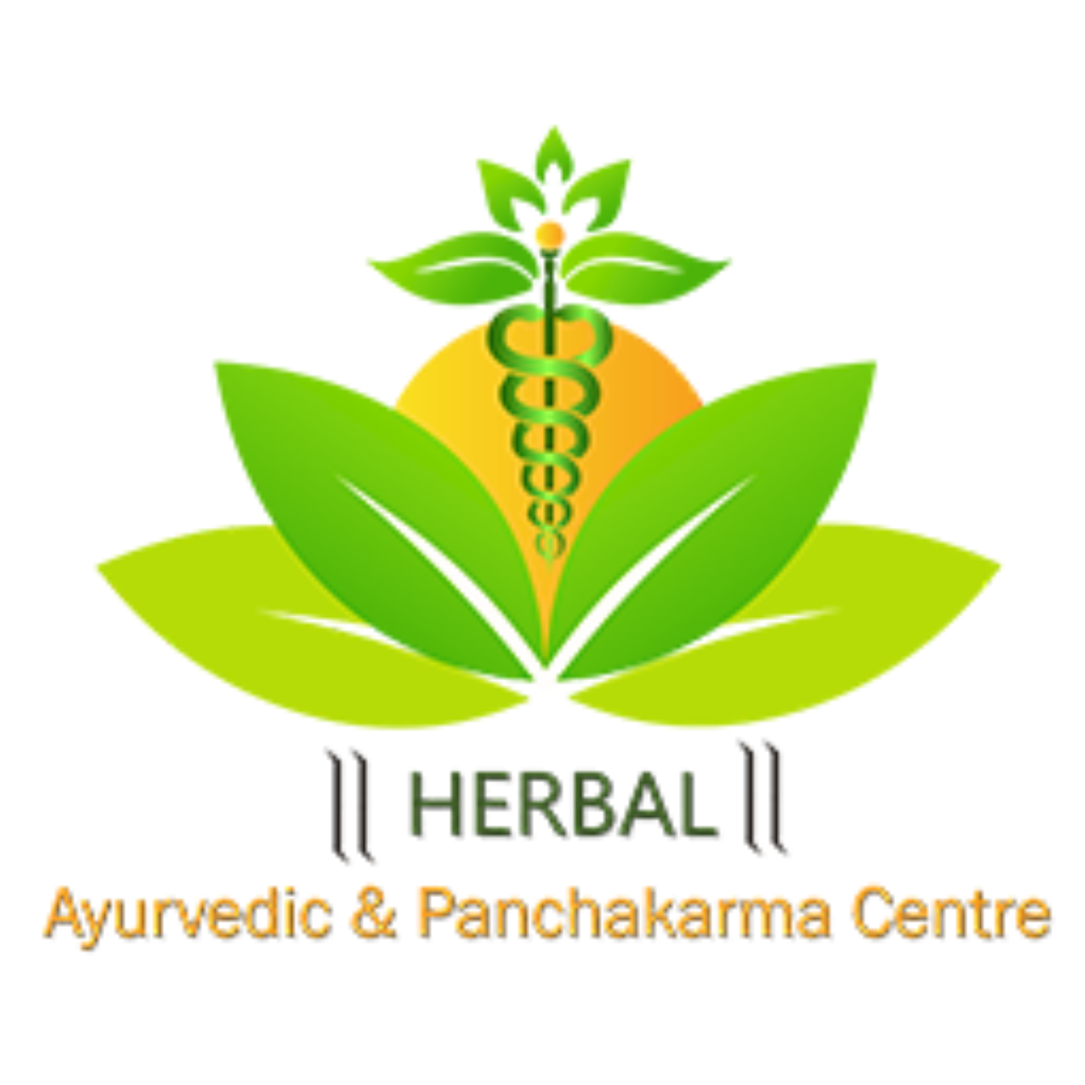 HERBAL AYURVEDIC