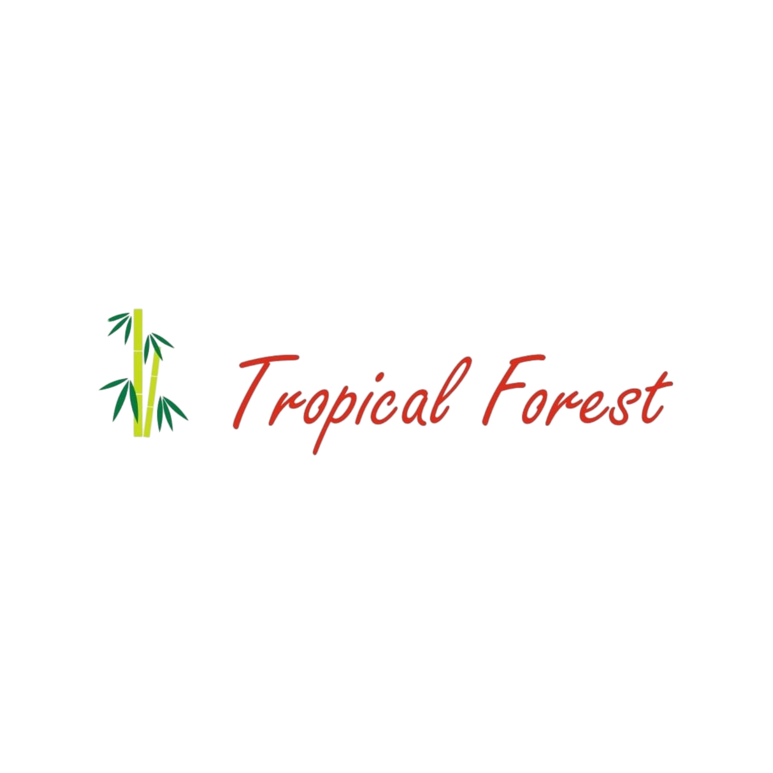 TROPICAL FOREST